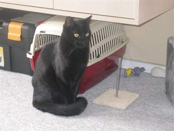 Huskat mio billede 5