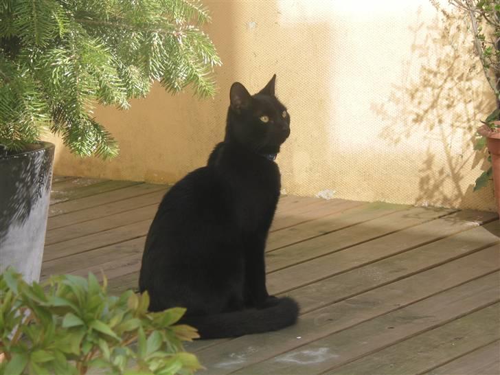 Huskat mio billede 7