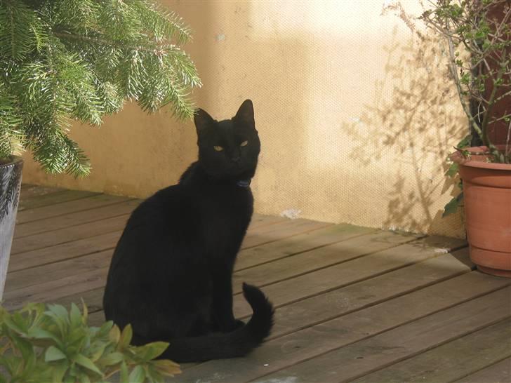 Huskat mio billede 8