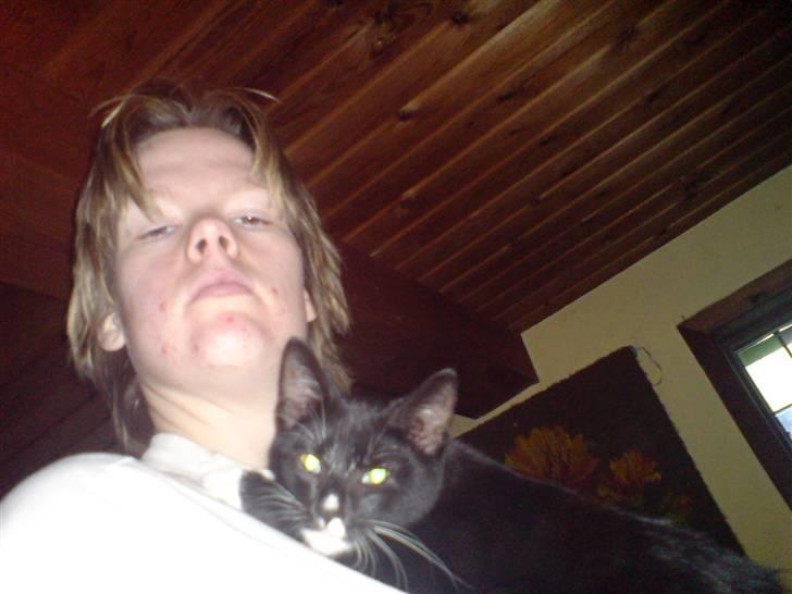 Huskat Sorte DØD - ja i mmå helder passe på for nå jeg sedder her oppe ved min Heidi så er jeg ikke særlig sød mod de andre. Fotograf Heidi  billede 14