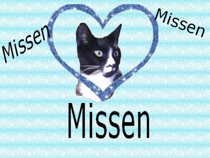 Huskat missen<3 billede 18