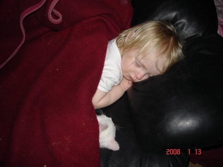 Huskat TILDE DØD - Sovetid billede 10