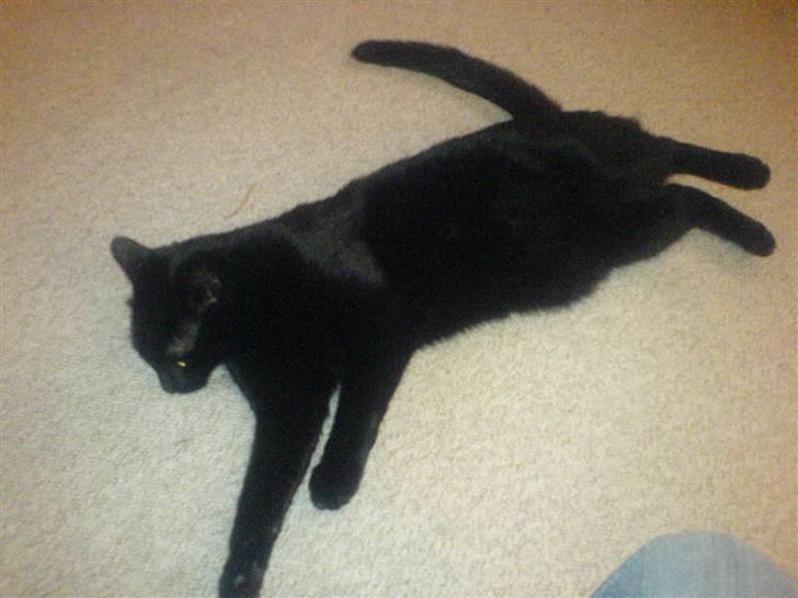 Huskat mio billede 11