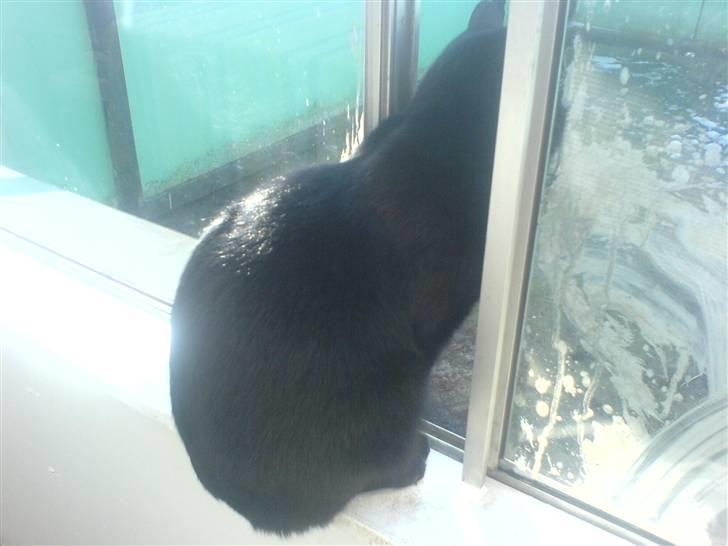 Huskat mio billede 14