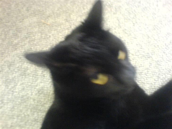 Huskat mio billede 15