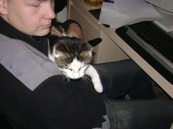 Huskat putte - vælkommet til suttemisses profil. Fotograf Heidi billede 1