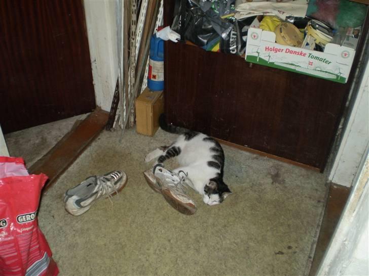 Huskat putte - her sedder den sammen mede sin søster trunte inde i fars bil og hykker sig. Fotograf Heidi billede 2