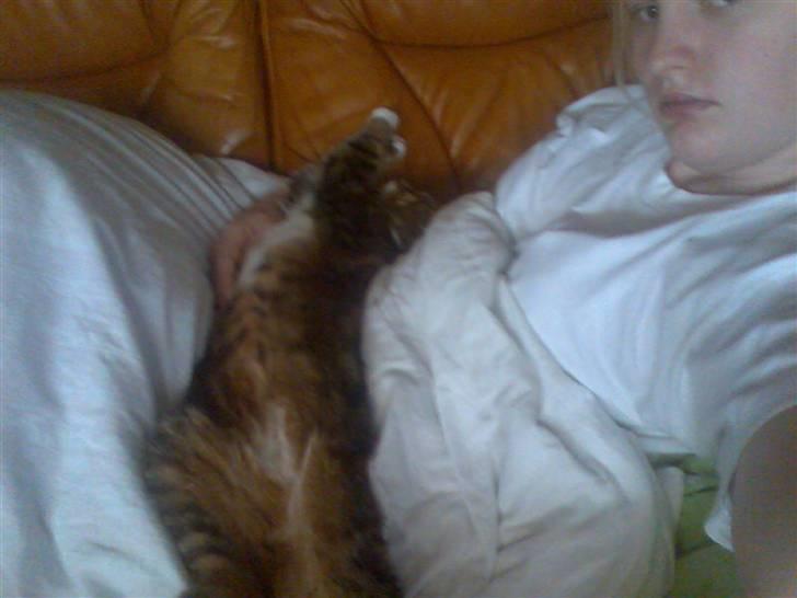 Huskat Mie - SÅ skal der strækkes ud! billede 9