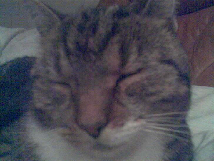 Huskat Mie - Face to face billede 11