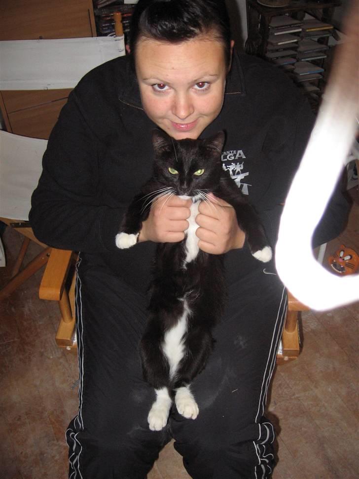 Blanding af racer kitkat *stjålen* billede 10