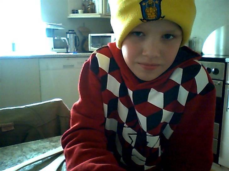 Huskat roger - min ejer billede 5