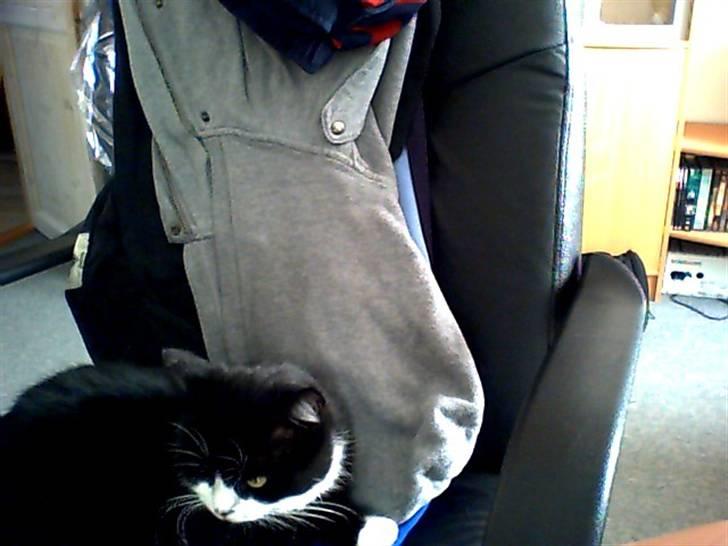 Huskat roger - ahhh! sove billede 9