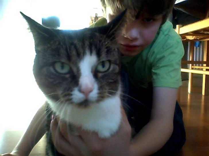 Huskat bertha - det er mig jeg er uartig billede 1