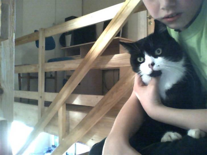 Huskat bertha - det erb min bror billede 3