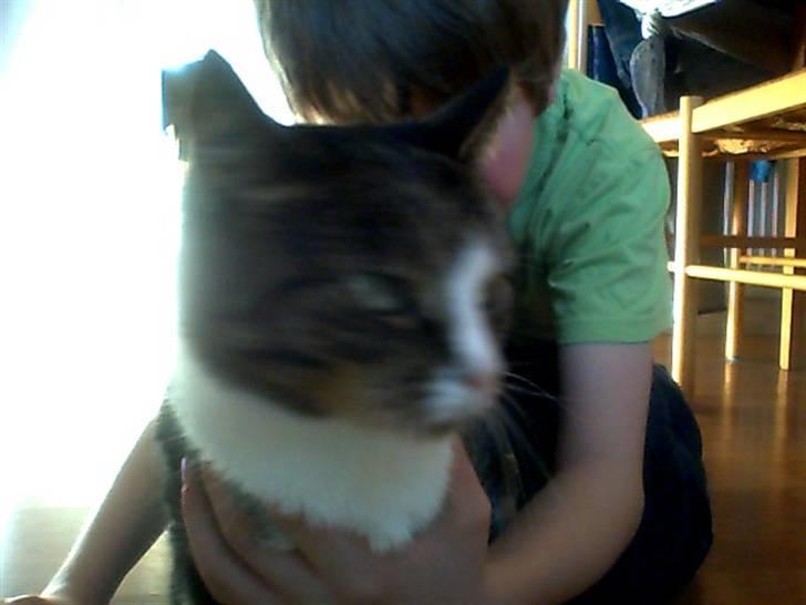 Huskat bertha - jeg gider ikk billede 4