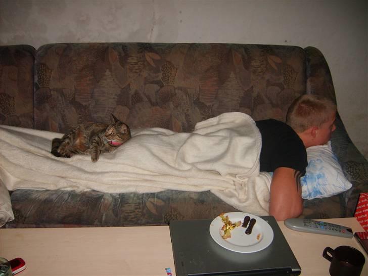 Huskat Pjevs billede 12