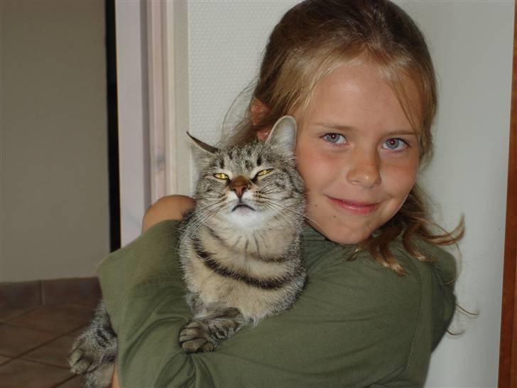 Blanding af racer Tulle (død) - Smukke Tulle og mig Sara :-) Hihi elsker den kat højt.. Som om det var mit barn.. billede 3
