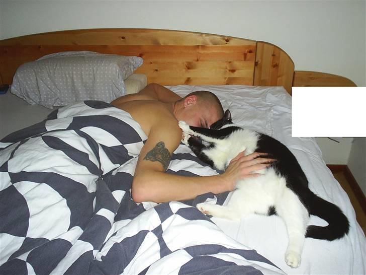 Huskat Basse - Man er vel fars dreng! billede 13