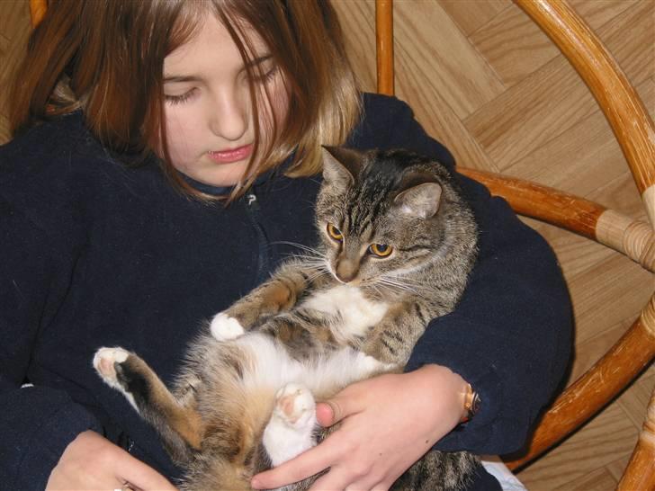 Huskat Fenja - Velkommen til Fenjas profil.....Første gang jeg så min lille Fenja-mus<3 billede 1