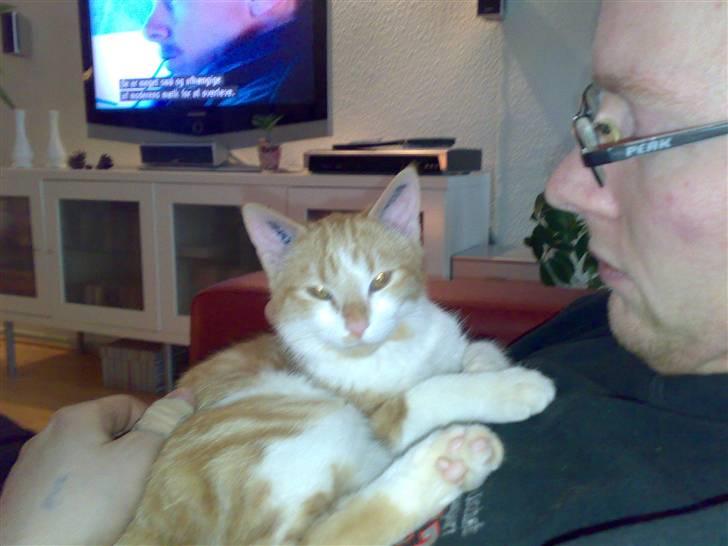 Huskat Ludwig *BORTGIVET* - Min far, MIIIIIN FAR billede 2