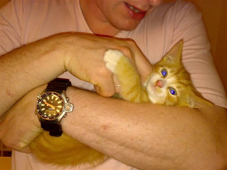 Huskat Karl - Uhm, ja lige der, det er der det klør billede 4