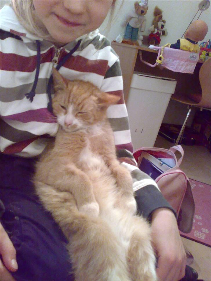 Huskat Karl - Se, jeg kan også sidde på numsen billede 5