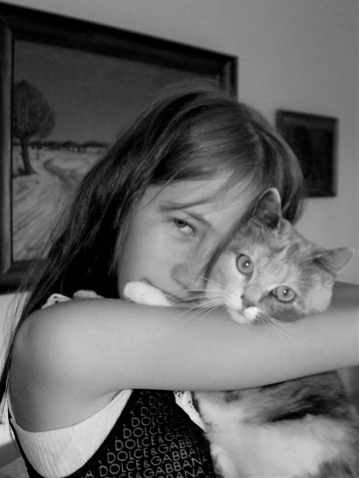 Blanding af racer Mille - cille og mille krammer. sødt! billede 20