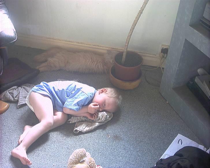 Blanding af racer pjuske R.I.P min elskede  billede 19