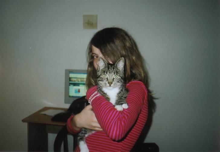 Blanding af racer Klunde DØD - Gammelt billede, af Jose og Klunde billede 8