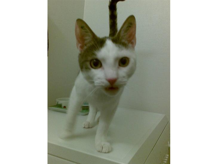 {{currentPhoto.altText}} billede {{currentPhoto.number}}