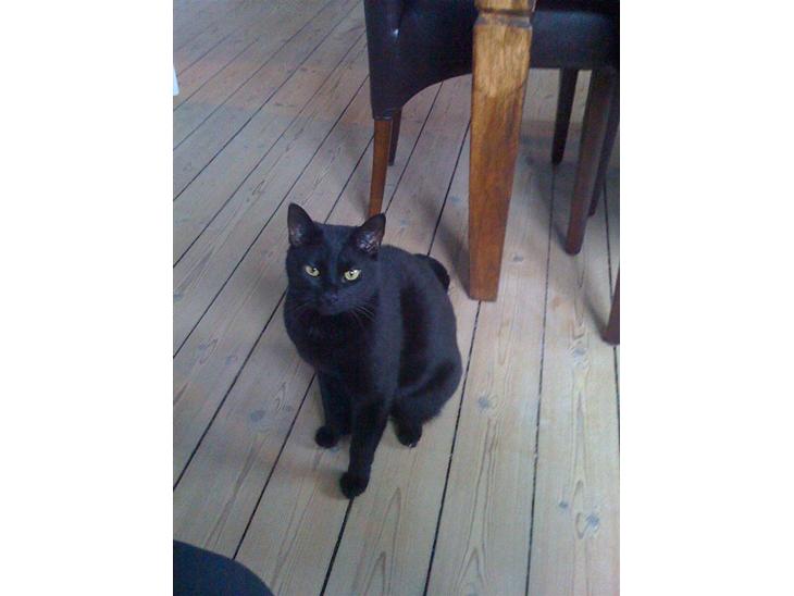 {{currentPhoto.altText}} billede {{currentPhoto.number}}