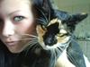Huskat Daisy R.I.P 2007-08 [ Himmelkat]