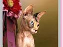 Sphynx Piacenca Coffee