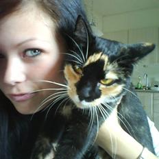 Huskat Daisy R.I.P 2007-08