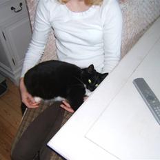 Blanding af racer Sorte*Desværre ikke blandt os længere*