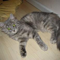 Blanding af racer Fiona Fuckhead