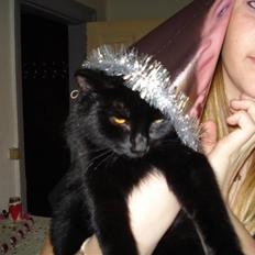 Blanding af racer TØzzen (VÆK :S)