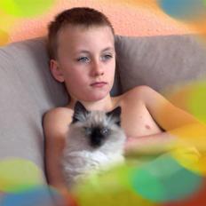 Blanding af racer Bastian