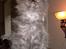 Maine Coon DK Kruse Aseem (Solgt)
