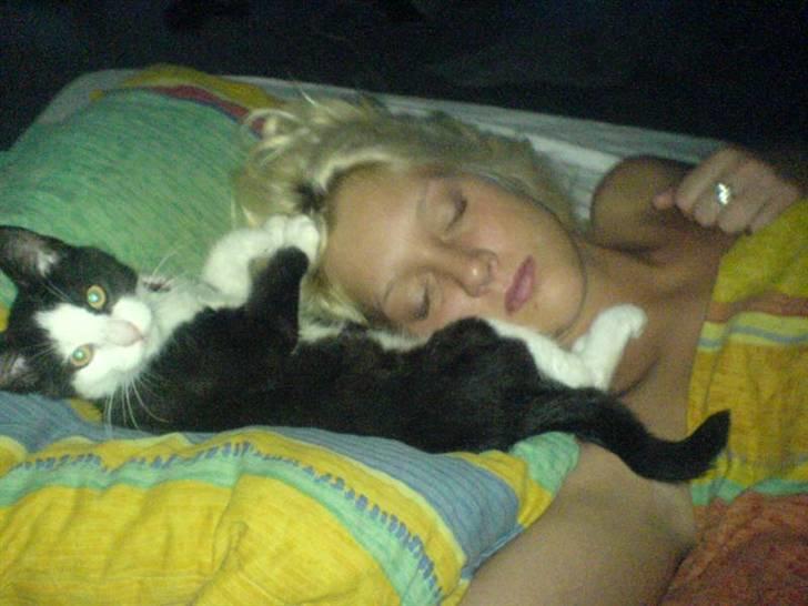 Huskat Mischa billede 5