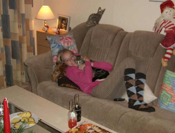 Blanding af racer Lillebror Albert<'33 d; - mig og albert efter en hård dag/ridedag<3 billede 12