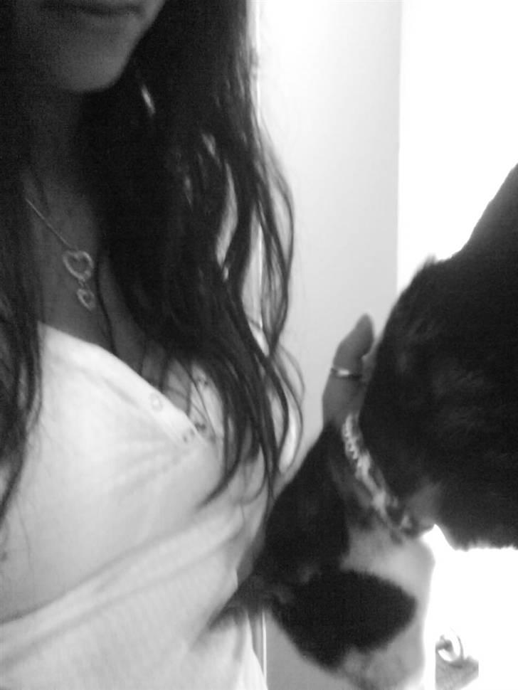 Huskat Daisy R.I.P 2007-08 - hvad har du der? billede 5