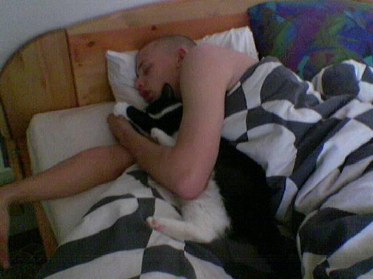 Huskat Basse - Uh, det er skønt at sove sammen med far. billede 19