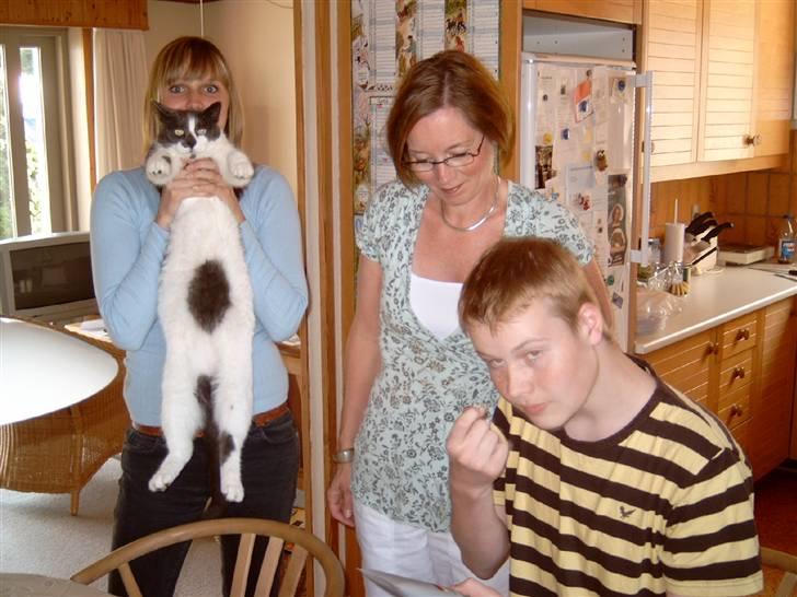 Huskat Magnus - RIP:-( billede 3