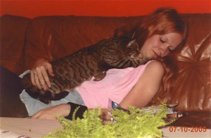 Huskat Mille R.I.P :'( - Her ligger vi sammen igen, og hygger med slik og tv. billede 18