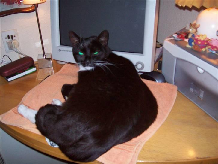 Blanding af racer fie - tastatur mis billede 14