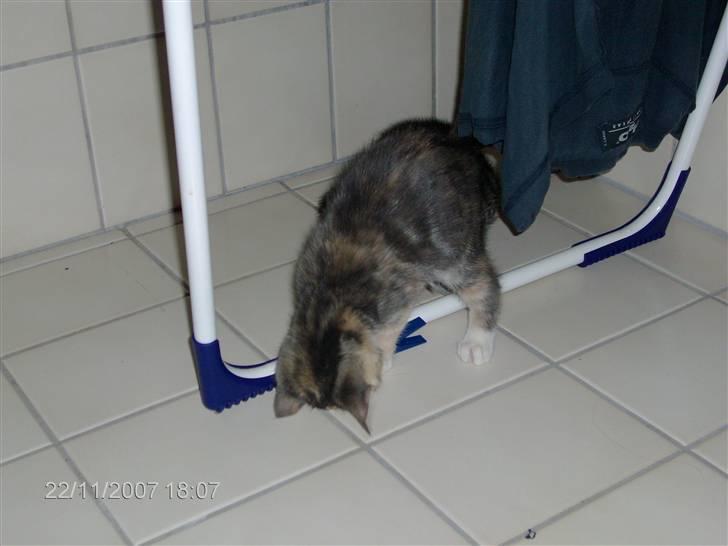 Huskat mulle og mille billede 3