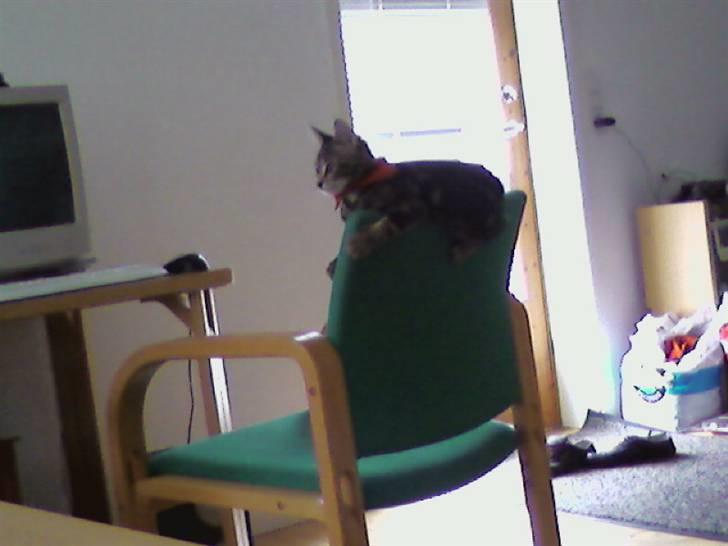 Huskat Kiva billede 5