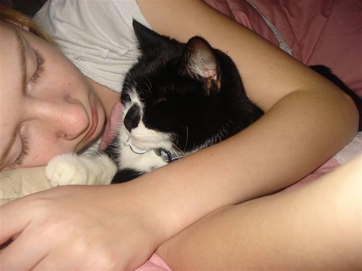 Huskat felixsine<3!! R.I.P :'( billede 18