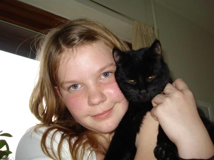 Blanding af racer TØzzen (VÆK :S) - Det er min lille søster, Julie og Tøzzen billede 5